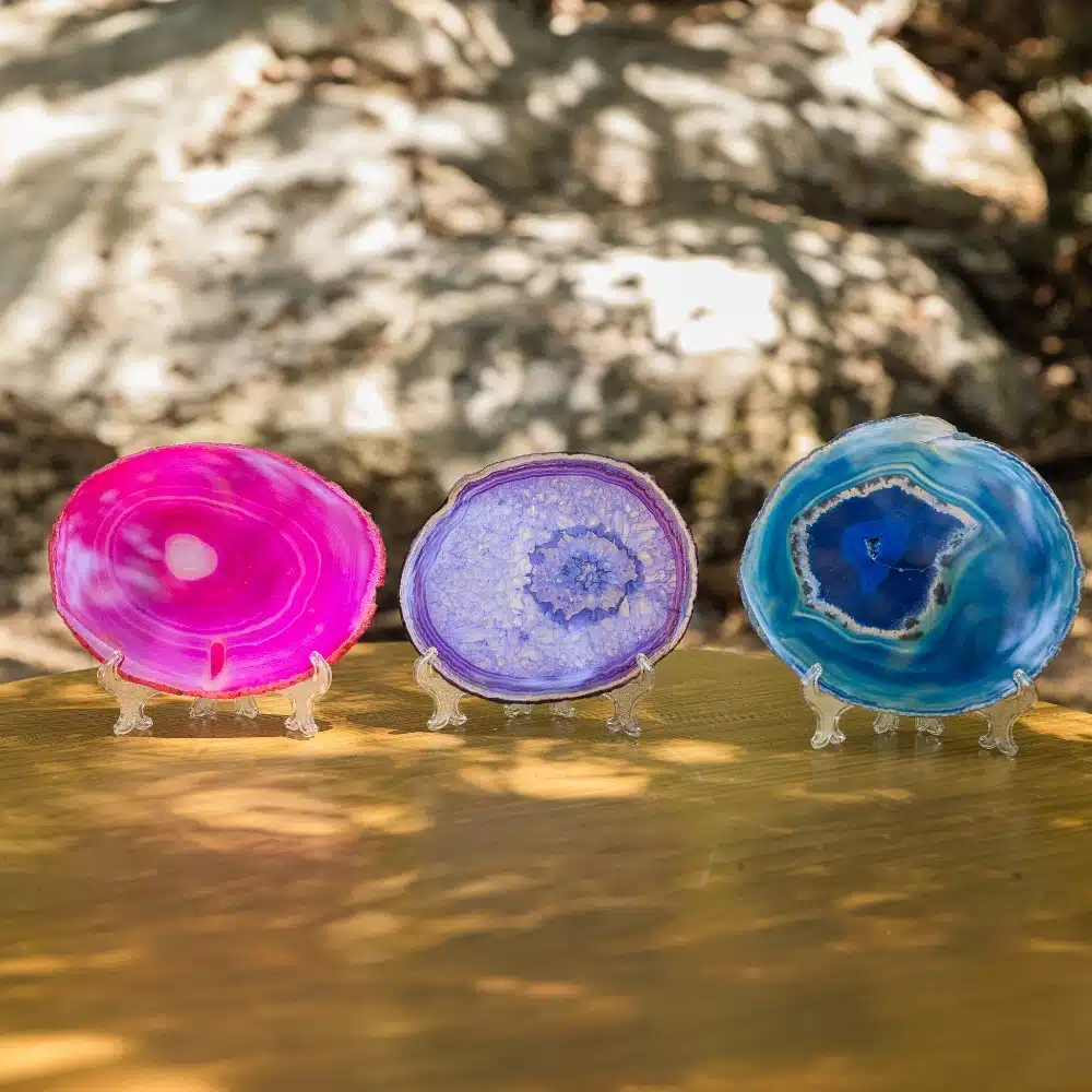 עיניי אגת גדולות מברזיל