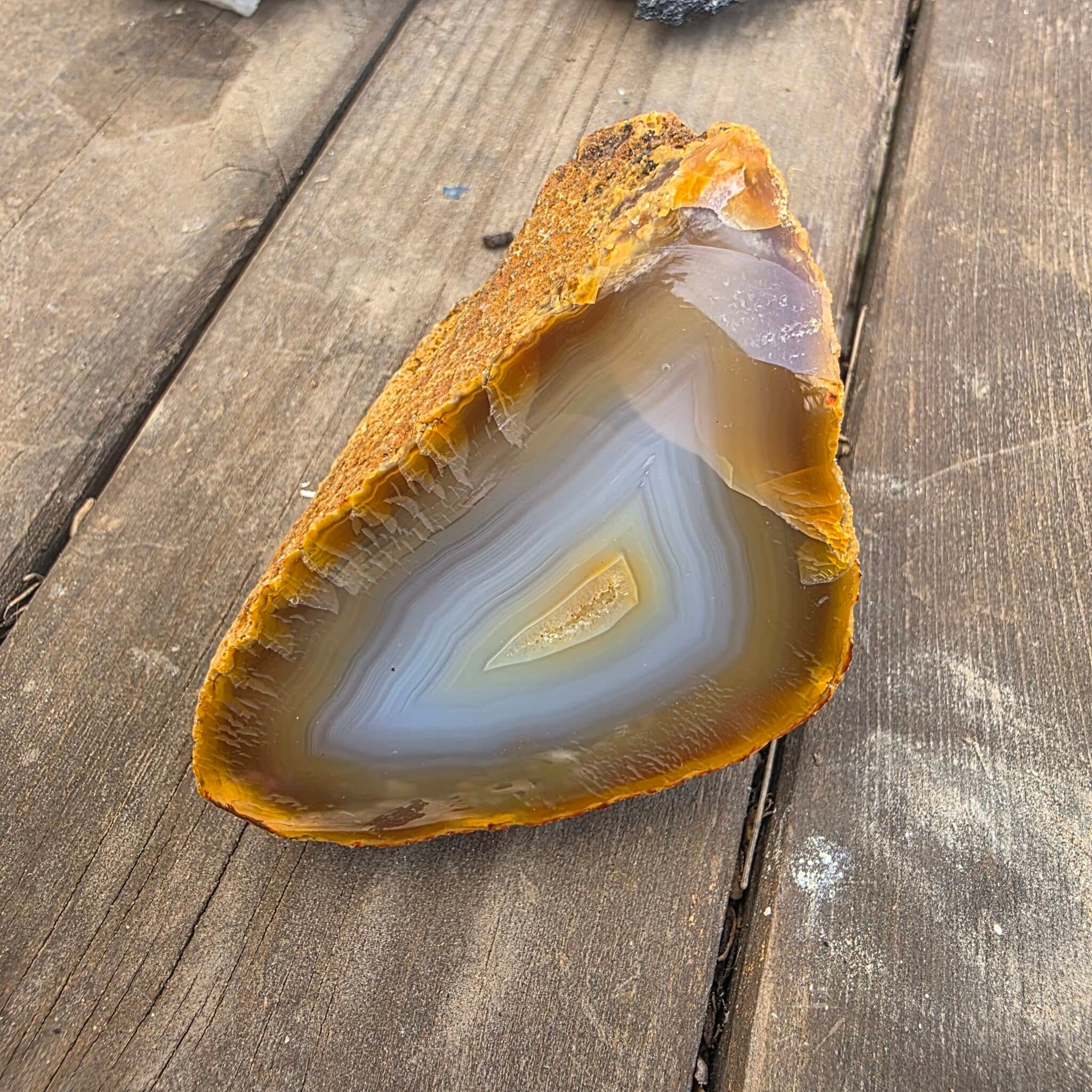 חצאי אגת מברזיל