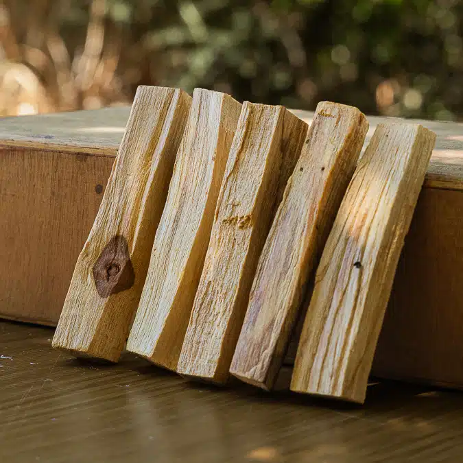 פאלו סנטו - 3 מקלות ב30!