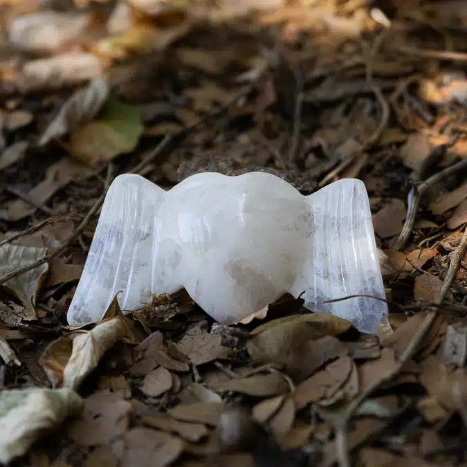 לב מלאך סלנייט